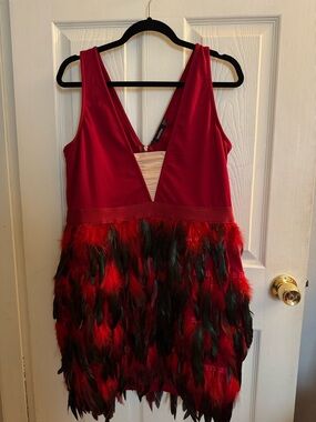 Boohoo Red V-Neck Feather-Trim Mini Dress